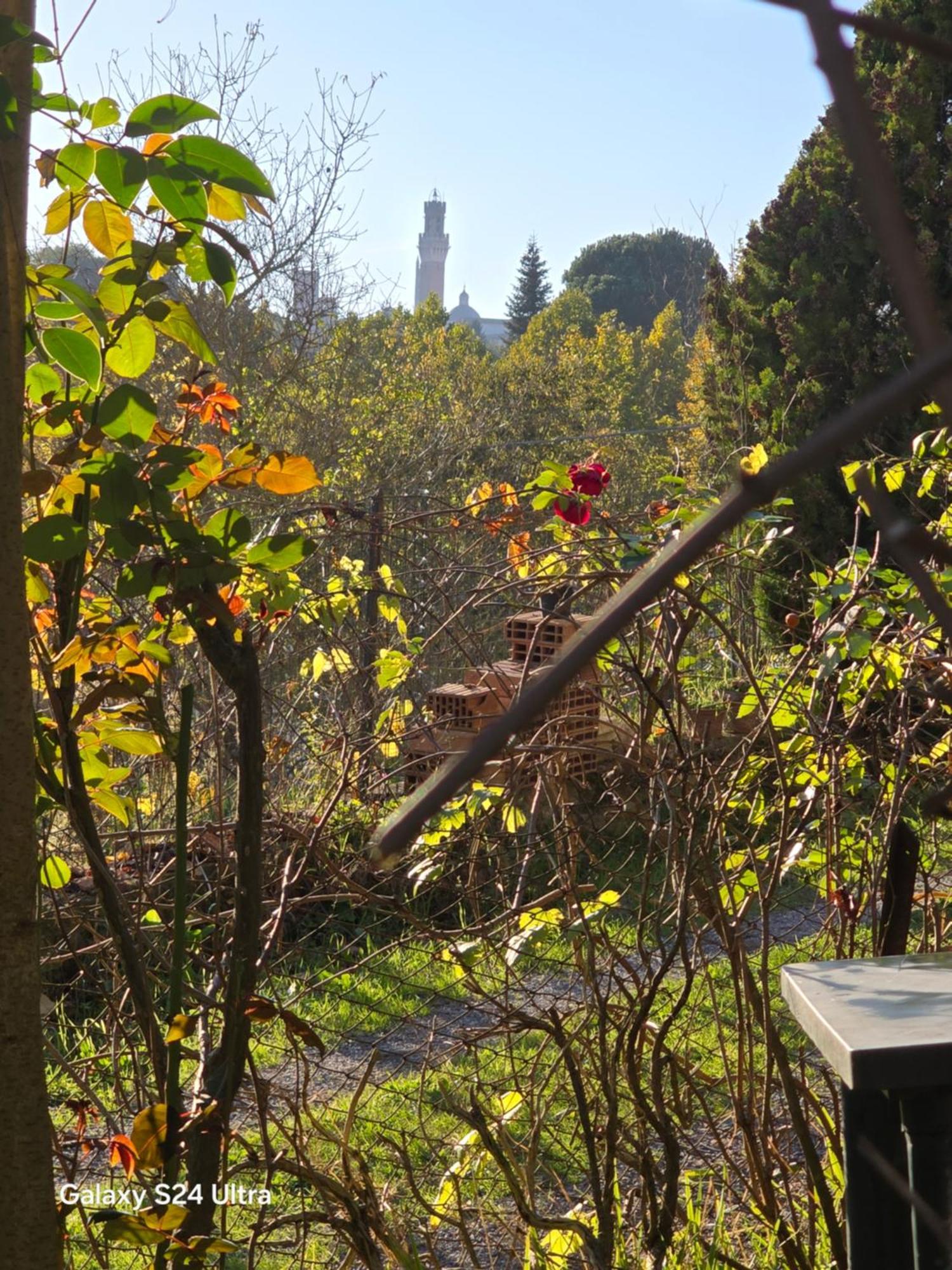 Podere Ponticini Siena Exterior photo